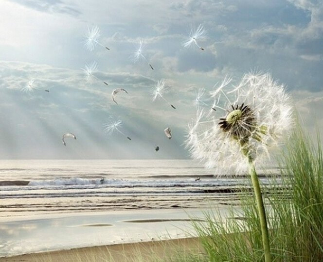 魅族 MX3 32G 3G手机(前黑后白) TD-SCDMA