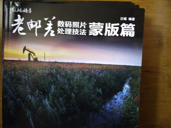 老邮差<em>数码照片处理技法</em>(蒙版篇)(附CD光盘1张