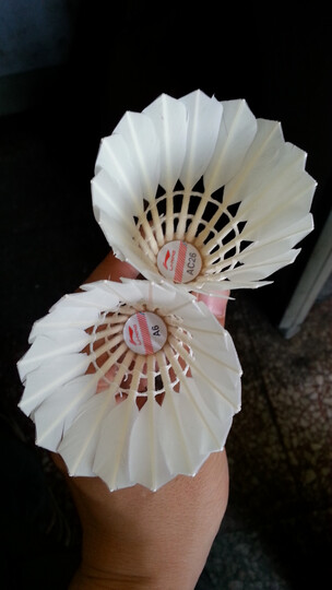 京东仓直配!李宁国家队指定用比赛级羽毛球 稳