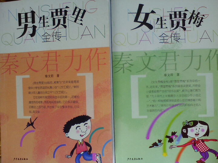 <em>女生</em>贾梅全传--孩子<em>喜欢</em>的<em>小说</em>