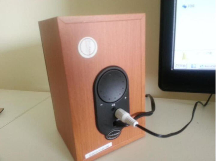 dostyle SD206全木质2.0USB电脑音箱 --