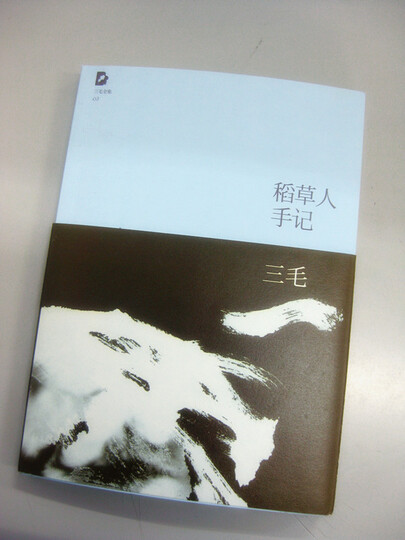 稻草人手记--很有质感的封面,喜欢。