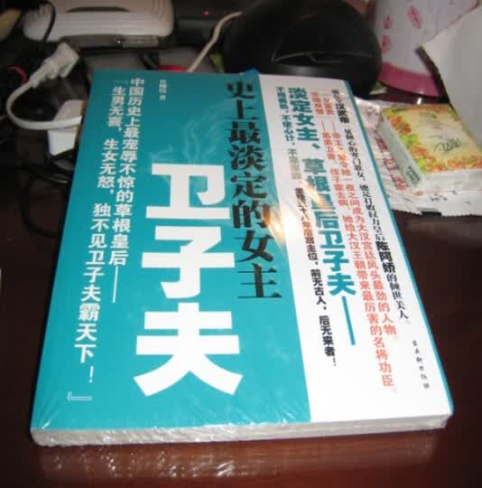 <em>史上最淡定的女主</em>:卫子夫--看封面还不错