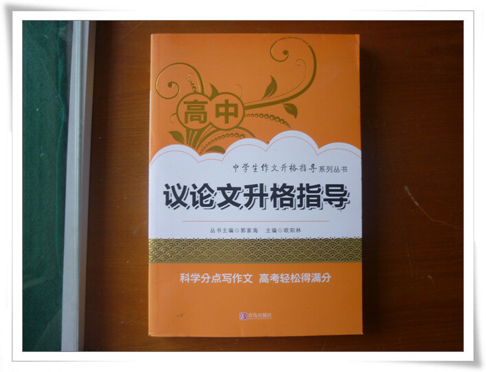 高中议论文升格指导--非常好的书