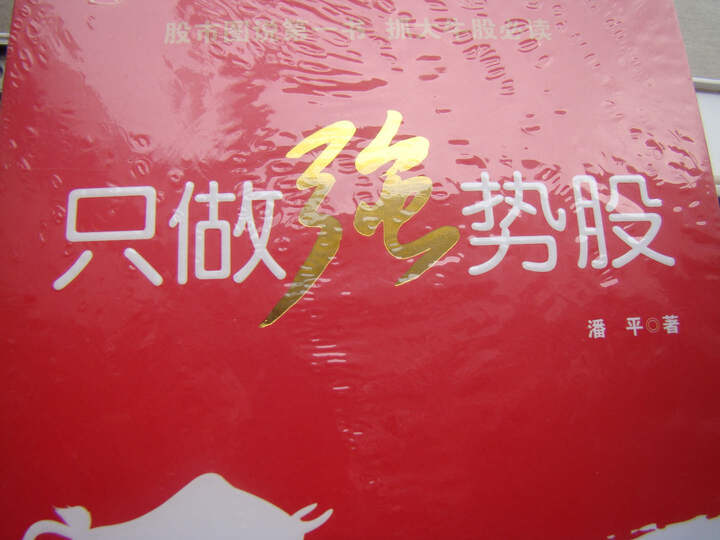 只做强势股(修订版)--货好又便宜,内容很新颖