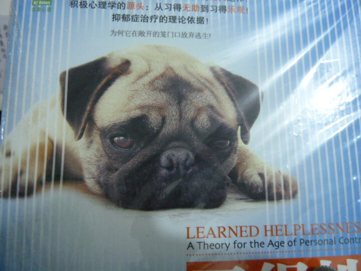 习得性无助--积极心理学的经典实验