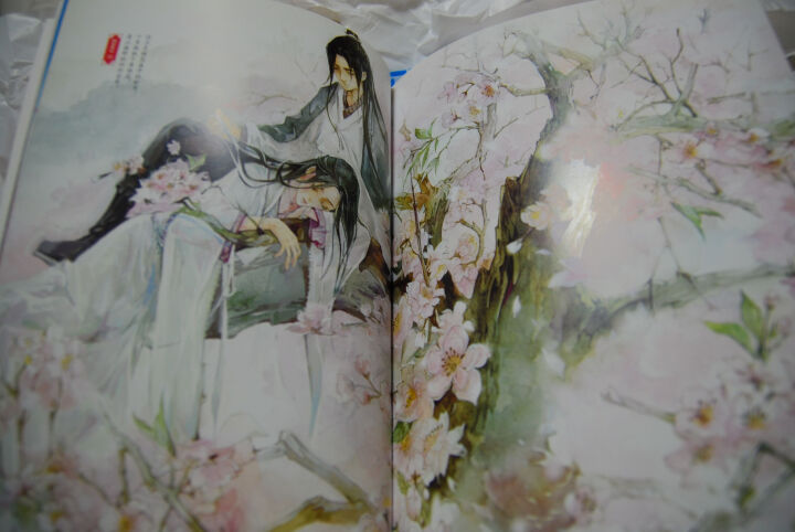 三生三世十里桃花纪念画册--随便拍几张看看