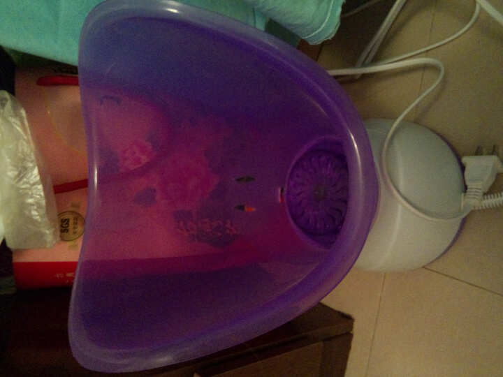 丹龙(DanLong)蒸脸器DL-B535脸部美容仪器 喷