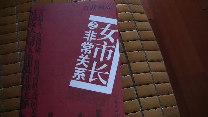 <em>女市长</em>之非常关系--<em>许开祯</em>的小说可以一看
