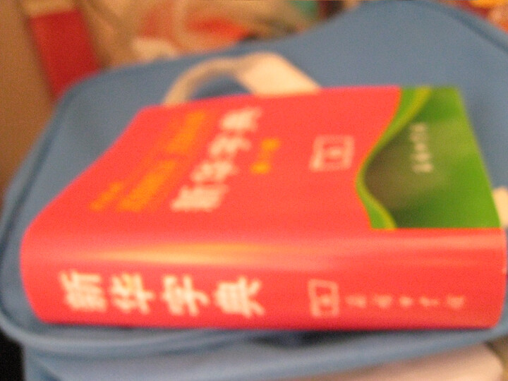 新华词典查字写真
