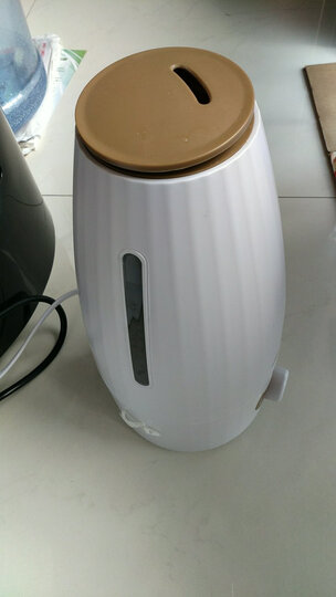 小熊(Bear)加湿器 2L 空气增湿器 家用办公室卧室静音 细雾香薰增湿JSQ-A20B1 晒单图