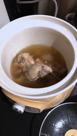 小熊(bear)电炖锅 电炖盅 煲汤锅 煮粥锅 燕窝炖盅 微电脑控制 bb煲迷你白瓷养生锅 2L DDG-D20M1 晒单图