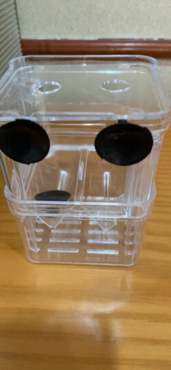 亚峰（yafeng）鱼缸水族箱悬浮式隔离盒鱼类孵化盒繁殖盒孵化箱保护盒产房盒 小号隔离盒 晒单图