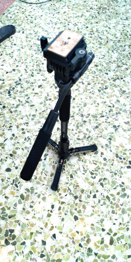 云腾（YUNTENG）独脚架 038专业摄影摄像独脚架 液压云台单脚架 单反相机DV摄像机自拍架带支撑脚掌独角架 晒单图
