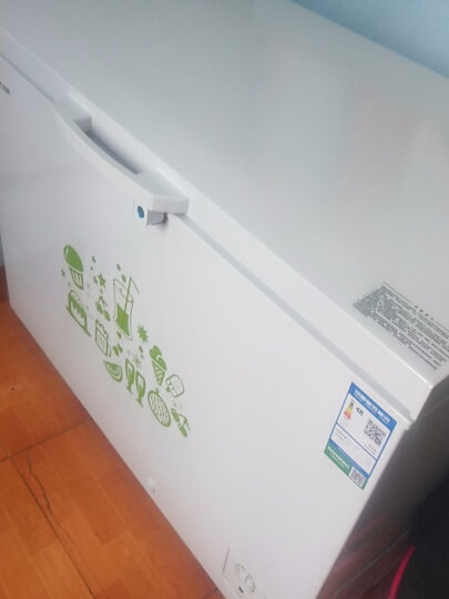 容声（Ronshen） 309升大容量冰柜家用商用冷藏冷冻转换单温冷柜 一级能效 雪糕冰柜 厨房冰箱BD/BC-309MD 晒单图