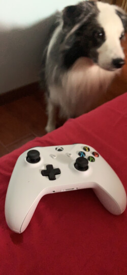 微软 (Microsoft) Xbox无线控制器/手柄 白色 | 带3.5mm耳机接头 蓝牙连接 Xbox主机电脑平板通用 晒单图