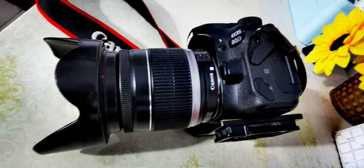 佳能（Canon）EOS 80D 单反相机 单反套机（EF-S 18-200mm f/3.5-5.6 IS 单反镜头） 晒单图