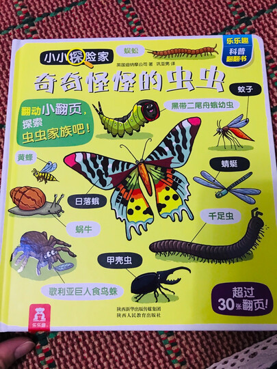 小小探险家翻翻书:身体认知篇(套装共2册) 晒单图