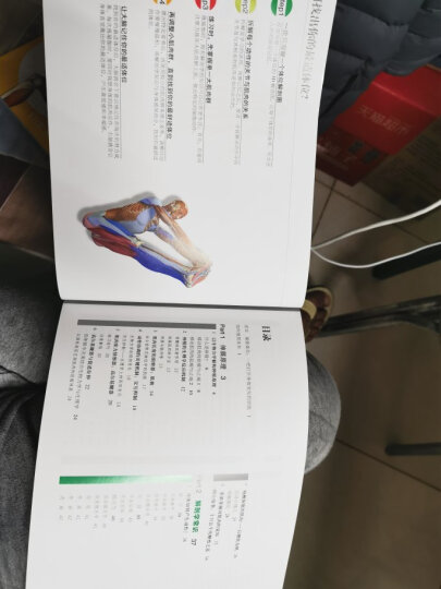 瑜伽3D解剖书：肌肉篇+动作篇(套装共2册) 晒单图