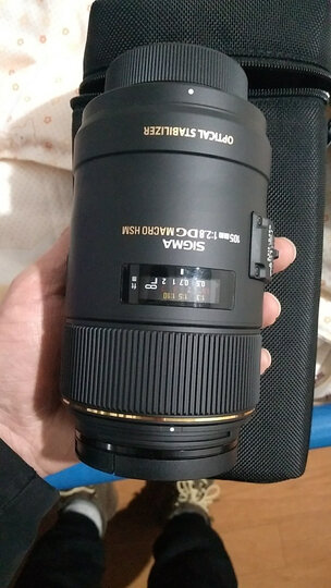 适马（SIGMA）105mm F2.8 EX DG OS HSM MACRO 全画幅 大光圈微距镜头 昆虫花草人像（尼康单反卡口） 晒单图