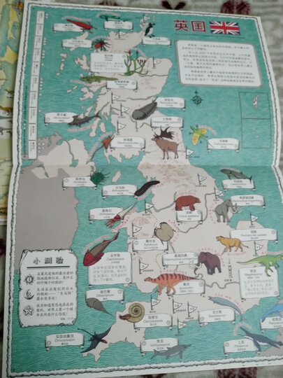 从天空到海底:交通工具儿童百科全书(精装绘本) 晒单图