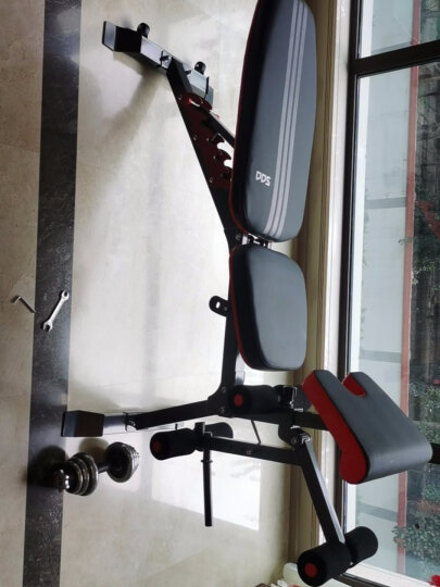 多德士（DDS）哑铃凳健身卧推椅子飞鸟凳多功能仰卧起坐健身器材训练器DDS201 晒单图