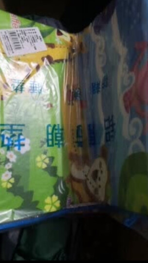 探险者(TAN XIAN ZHE)全自动帐篷户外防雨双人双层免搭建3-4人野外露营帐篷套装 【升级款】3-4人亲子休闲套餐1 晒单图