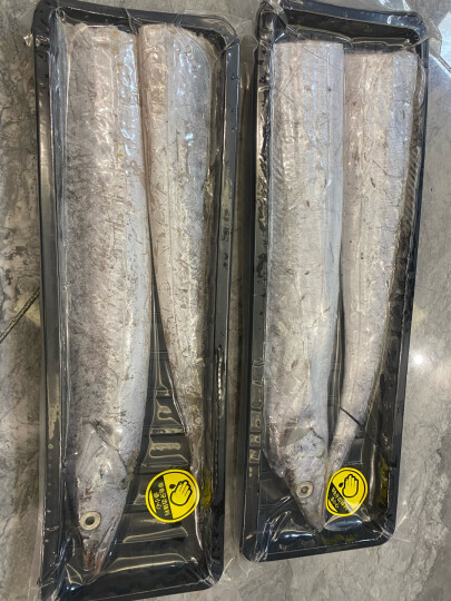 鲜到鲜得 冷冻舟山带鱼纯中段700g 深海鱼 刀鱼 生鲜 鱼类 海鲜水产 晒单图