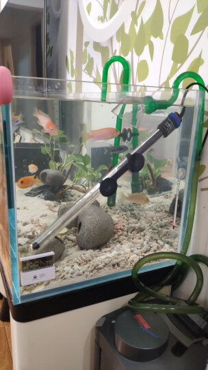 FISH BABY鱼缸温度计测水温观赏鱼水族箱专用家用防水小胖潜水 迷你小缸用温度计 晒单图