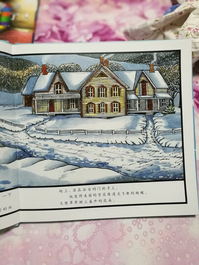 凯迪克金奖绘本:雪花人(启发童书馆出品) 晒单图