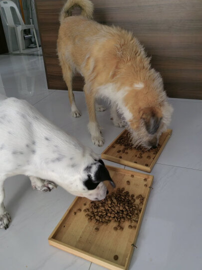 伯纳天纯狗粮经典中大型犬成年犬狗粮12月龄以上15kg 金毛哈士奇阿拉斯加 晒单图