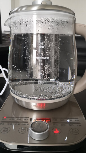 小熊(Bear)养生壶煮茶壶煮茶器电水壶热水壶烧水壶电热水壶玻璃黑茶YSH-A18R1带滤网1.8L 晒单图