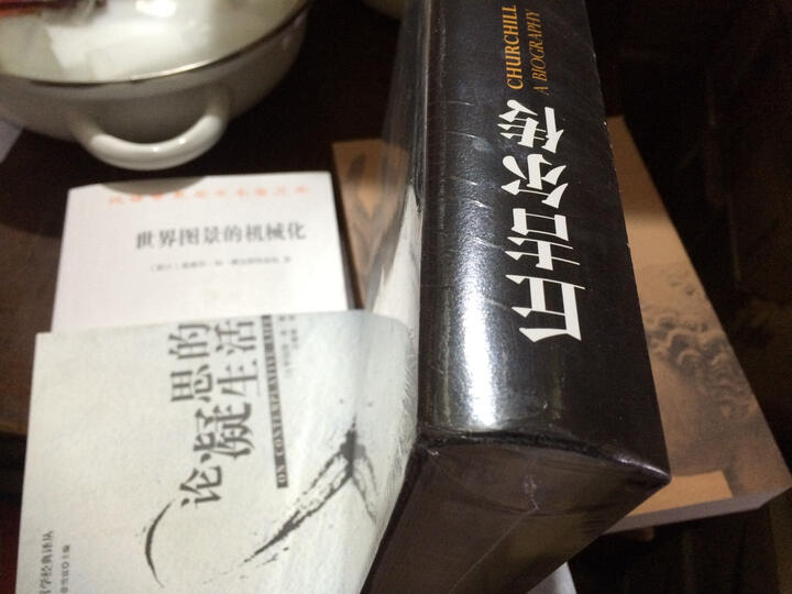 两希文明哲学经典译丛:论凝思的生活 晒单图