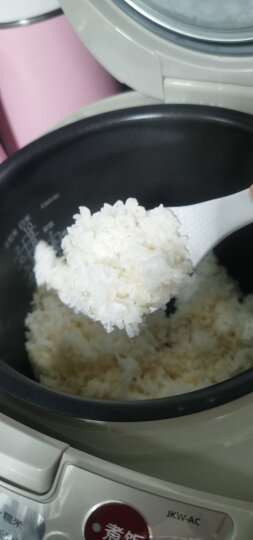 虎牌(Tiger)电饭煲原装进口IH加热方式电饭锅 JKW-A10C 3L驼色 晒单图