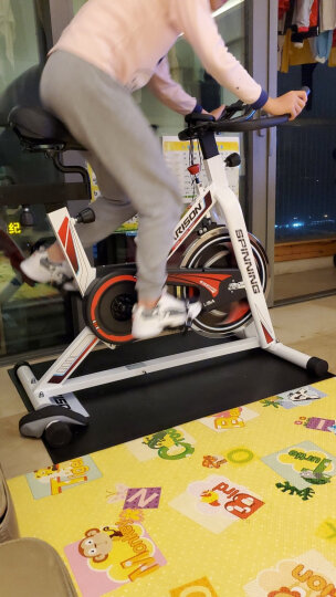 HARISON 【全球畅卖】美国汉臣动感单车家用运动器材室内脚踏健身器材 新款X12eco 晒单图