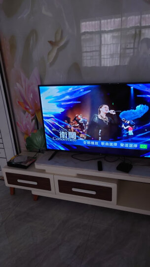 索尼（SONY）BDP-S1500 蓝光DVD 支持USB播放 支持网络视频 播放机 黑色 晒单图