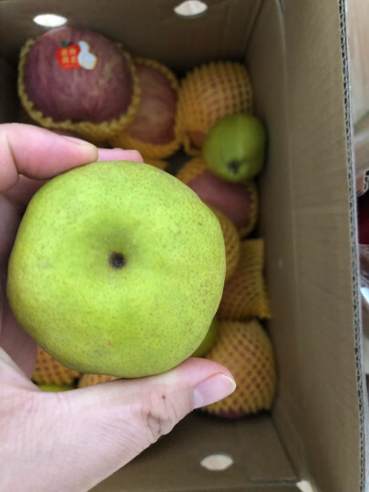 新疆库尔勒香梨 单果120g以上 净重2kg  生鲜水果 年货礼盒 新老包装随机发货 晒单图