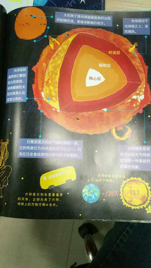 幼儿恐龙大图鉴(套装共8册) 晒单图