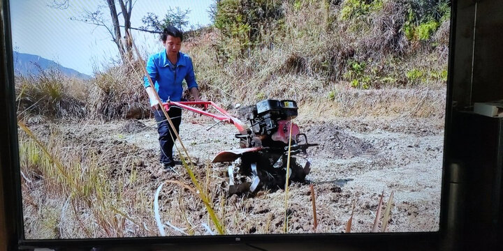 小米电视4C 43英寸 全高清 四核处理器 1GB+8GB 人工智能网络液晶平板电视 L43M5-AX 晒单图