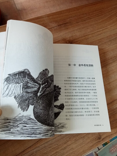 动物小说大王沈石溪·品藏书系：黑天鹅紫水晶 晒单图