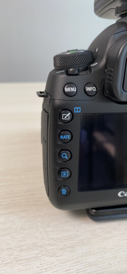 佳能（Canon）EOS 5D Mark IV 5D4 单反相机 单反套机 全画幅（EF 24-105mm f/4L IS II USM 单反镜头） 晒单图
