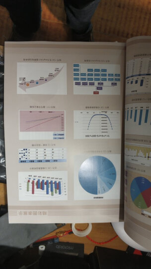 实战技巧精粹：Excel2010图表（含光盘）（异步图书出品） 晒单图