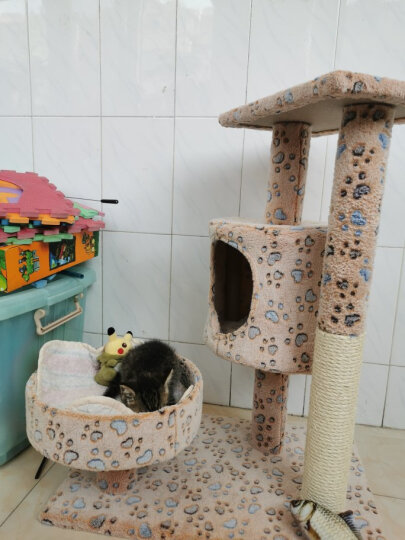 华元宠具（hoopet）猫爬架剑麻猫抓板猫玩具小型猫窝猫树猫跳台磨爪猫咪房子 米黄色 晒单图