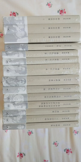 理想国译丛002·漫漫自由路:曼德拉自传 晒单图