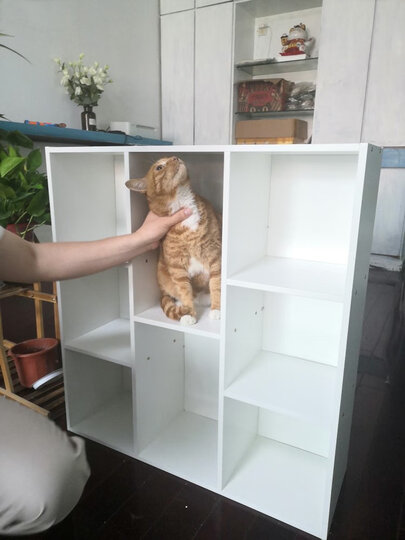 家乐铭品 书柜书架 收纳架储物柜加固加高八格柜自由组合简易柜子省空间落地文件柜现代简约客厅置物柜 A3230 晒单图
