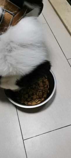 宝路 宠物狗粮 成犬全价粮 大型犬金毛哈士奇拉布拉多萨摩耶 牛肉味 1.8kg 晒单图
