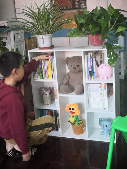 家乐铭品 书柜书架 收纳架储物柜加固加高八格柜自由组合简易柜子省空间落地文件柜现代简约客厅置物柜 A3230 晒单图