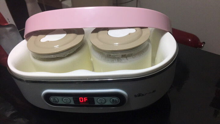 小熊（Bear）纳豆酸奶机 家用泡菜米酒机 酸奶发酵菌 玻璃双内胆陶瓷8分杯 SNJ-A15K1 晒单图