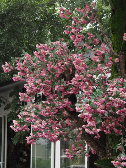 奥林巴斯（OLYMPUS）M.ZUIKO ED 75–300mm-II F4.8–6.7 远摄变焦镜头 微单镜头 等效150-600mm 晒单图