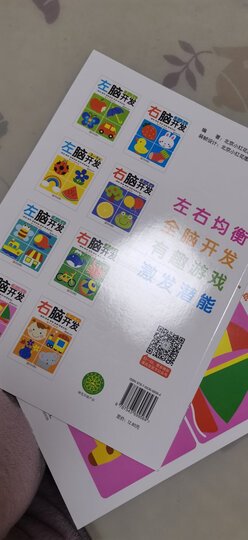 左脑开发右脑开发2-3岁(共2册)(邦臣小红花出品) 晒单图